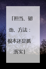 担当、韧劲、方法：根本还是抓落实