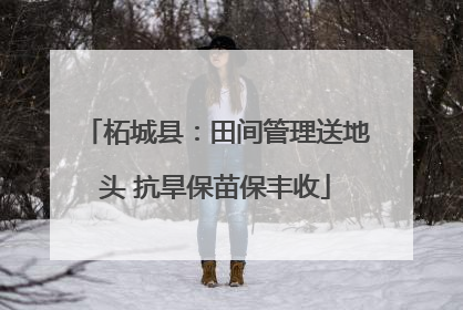 柘城县：田间管理送地头 抗旱保苗保丰收