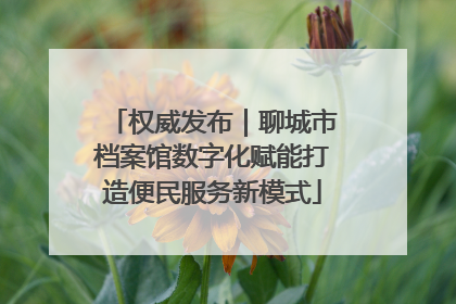 权威发布｜聊城市档案馆数字化赋能打造便民服务新模式