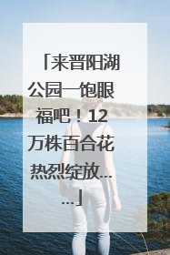 来晋阳湖公园一饱眼福吧！12万株百合花热烈绽放……