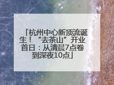 杭州中心新顶流诞生！“去茶山”开业首日：从清晨7点卷到深夜10点