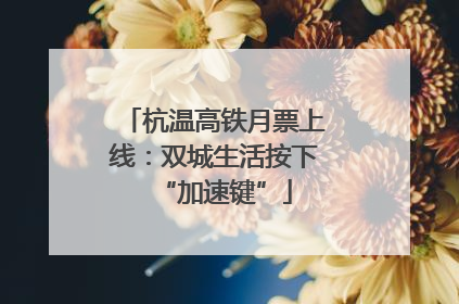 杭温高铁月票上线：双城生活按下“加速键”