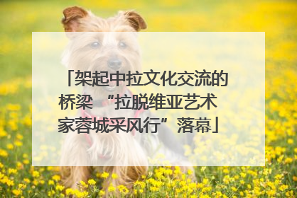 架起中拉文化交流的桥梁 “拉脱维亚艺术家蓉城采风行”落幕