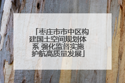 枣庄市市中区构建国土空间规划体系 强化监督实施护航高质量发展