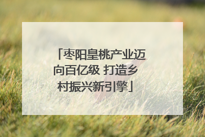 枣阳皇桃产业迈向百亿级 打造乡村振兴新引擎