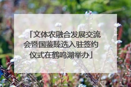 文体农融合发展交流会暨国鉴臻选入驻签约仪式在鹤鸣湖举办
