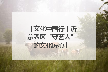 文化中国行｜沂蒙老区“守艺人”的文化匠心