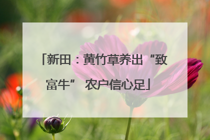 新田：黄竹草养出“致富牛” 农户信心足