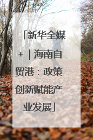 新华全媒+｜海南自贸港：政策创新赋能产业发展