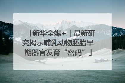 新华全媒+｜最新研究揭示哺乳动物胚胎早期器官发育“密码”