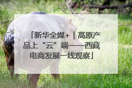 新华全媒+｜高原产品上“云”端——西藏电商发展一线观察