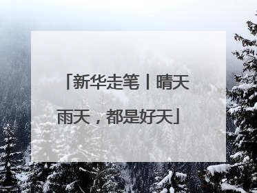 新华走笔丨晴天雨天，都是好天