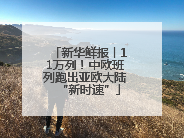 新华鲜报丨11万列！中欧班列跑出亚欧大陆“新时速”