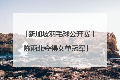 新加坡羽毛球公开赛丨陈雨菲夺得女单冠军