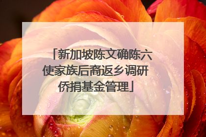 新加坡陈文确陈六使家族后裔返乡调研侨捐基金管理
