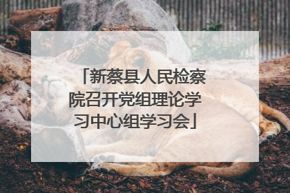 新蔡县人民检察院召开党组理论学习中心组学习会