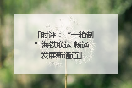 时评：“一箱制”海铁联运 畅通发展新通道