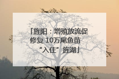 旌阳：增殖放流促修复 10万尾鱼苗“入住”旌湖