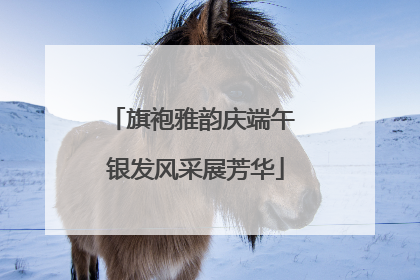 旗袍雅韵庆端午 银发风采展芳华
