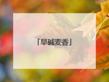 旱碱麦香