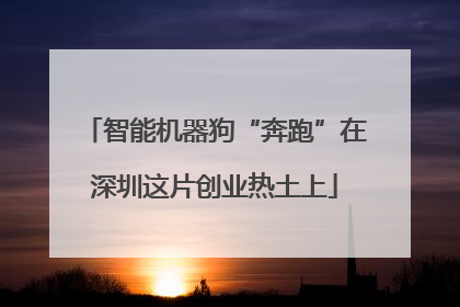 智能机器狗“奔跑”在深圳这片创业热土上
