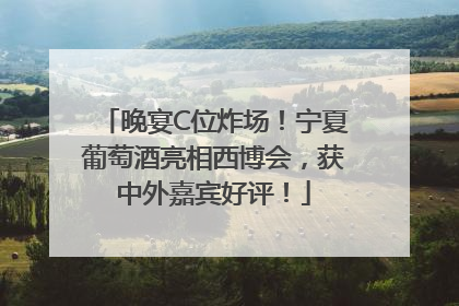 晚宴C位炸场！宁夏葡萄酒亮相西博会，获中外嘉宾好评！