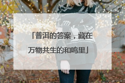 普洱的答案，藏在万物共生的和鸣里