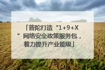 普陀打造“1+9+X”网络安全政策服务包，着力提升产业能级
