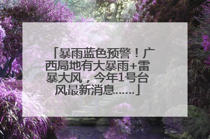 暴雨蓝色预警！广西局地有大暴雨+雷暴大风，今年1号台风最新消息……