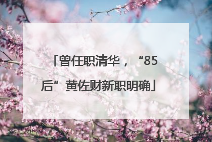 曾任职清华，“85后”黄佐财新职明确