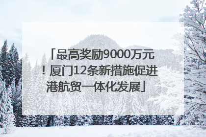 最高奖励9000万元！厦门12条新措施促进港航贸一体化发展