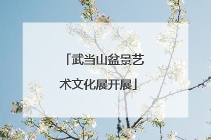武当山盆景艺术文化展开展