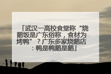 武汉一高校食堂称“烧鹅饭是广东俗称，食材为烤鸭”？广东多家烧鹅店：鸭是鸭鹅是鹅