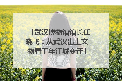 武汉博物馆馆长任晓飞：从武汉出土文物看千年江城变迁