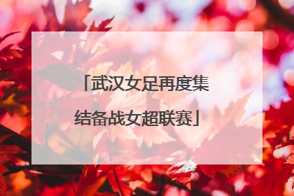 武汉女足再度集结备战女超联赛
