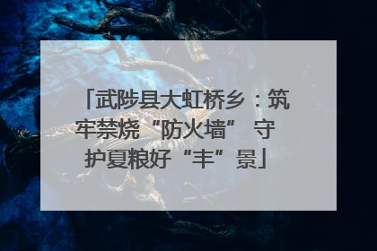 武陟县大虹桥乡：筑牢禁烧“防火墙” 守护夏粮好“丰”景