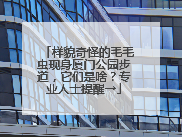 样貌奇怪的毛毛虫现身厦门公园步道，它们是啥？专业人士提醒→
