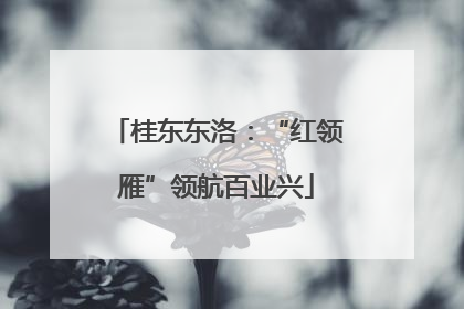 桂东东洛：“红领雁”领航百业兴