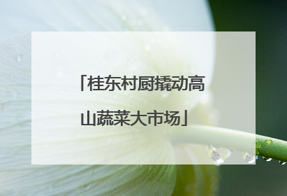 桂东村厨撬动高山蔬菜大市场
