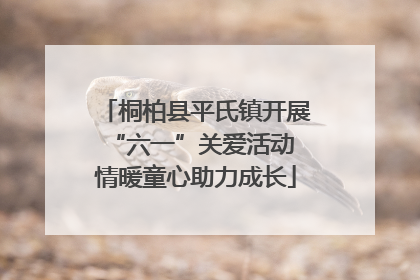 桐柏县平氏镇开展“六一”关爱活动 情暖童心助力成长