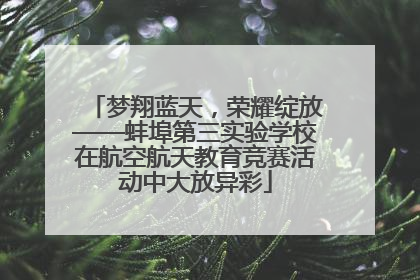 梦翔蓝天，荣耀绽放——蚌埠第三实验学校在航空航天教育竞赛活动中大放异彩