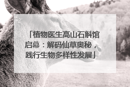 植物医生高山石斛馆启幕：解码仙草奥秘，践行生物多样性发展