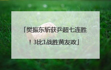 樊振东斩获乒超七连胜！3比1战胜黄友政
