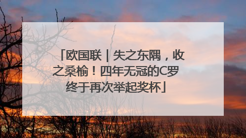 欧国联｜失之东隅，收之桑榆！四年无冠的C罗终于再次举起奖杯