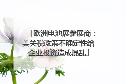 欧洲电池展参展商：美关税政策不确定性给企业投资造成混乱