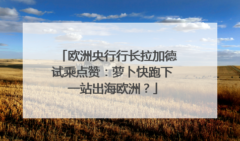欧洲央行行长拉加德试乘点赞：萝卜快跑下一站出海欧洲？
