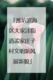 潍坊滨海区大家洼街道孟家庄子村文明新风展新貌