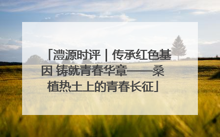 澧源时评｜传承红色基因 铸就青春华章——桑植热土上的青春长征