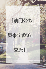 澳门公务员来宁参访交流