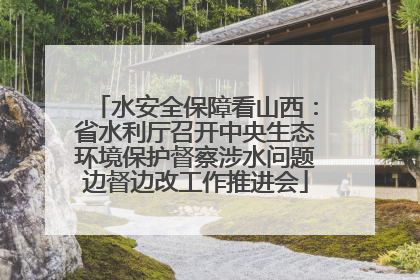 水安全保障看山西：省水利厅召开中央生态环境保护督察涉水问题边督边改工作推进会